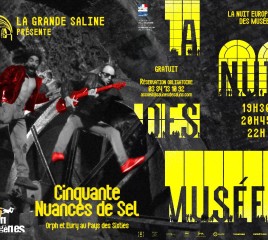 Affiche nuit des musées